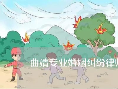 曲靖专业婚姻纠纷律师/2023112561725