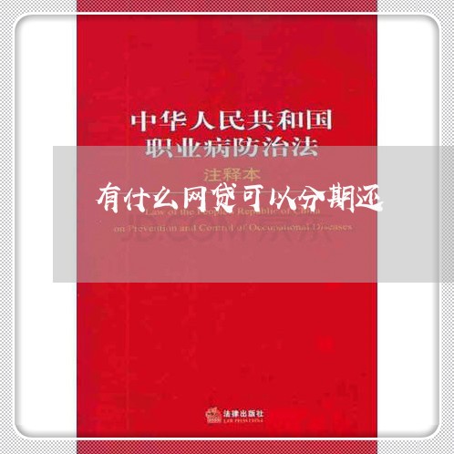 有什么网贷可以分期还/2023100871724