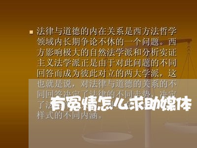 有冤情怎么求助媒体/2023040460502