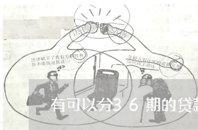 有可以分36期的贷款吗/2023032450303