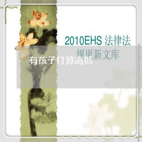 有孩子打算离婚/2023121675837