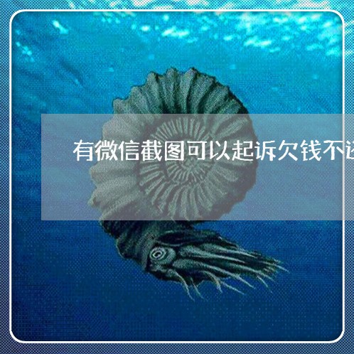 有微信截图可以起诉欠钱不还的吗/2023110962603