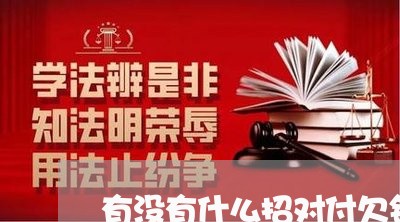 有没有什么招对付欠钱不还的人/2023120913707