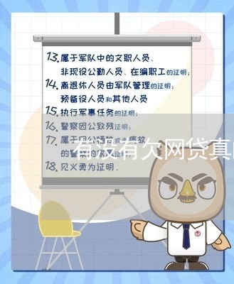 有没有欠网贷真的被起诉的/2023111493157