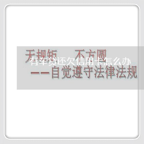 有车贷还欠信用卡怎么办/2023111483857