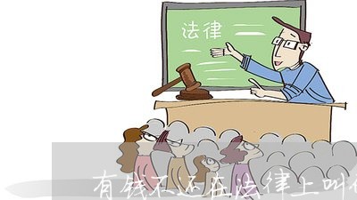 有钱不还在法律上叫什么/2023120551482