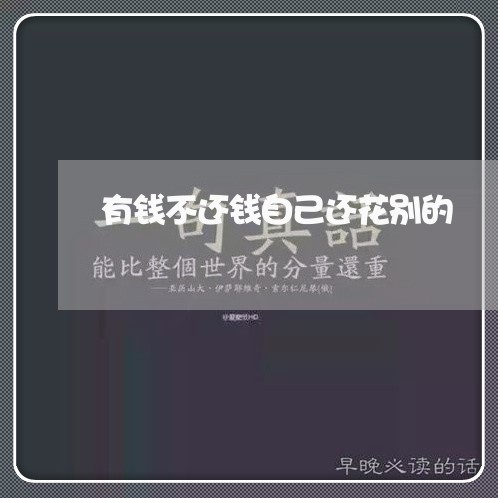 有钱不还钱自己还花别的/2023120827159