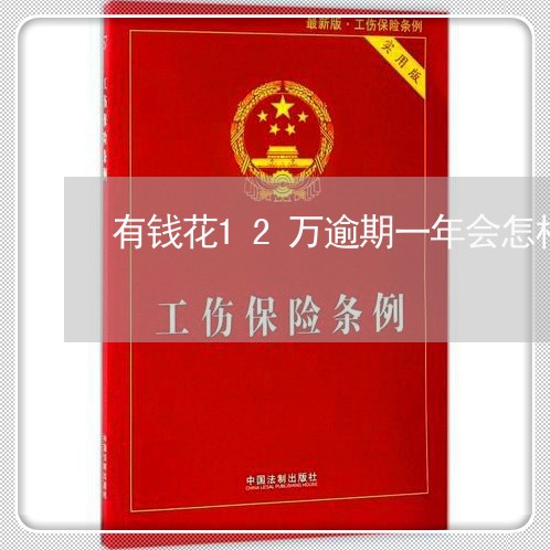 有钱花12万逾期一年会怎样/2023072354248