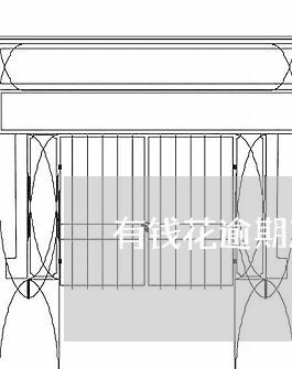 有钱花逾期冻结信用卡/2023112495926