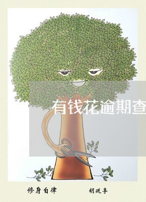 有钱花逾期查账什么意思/2023062304716