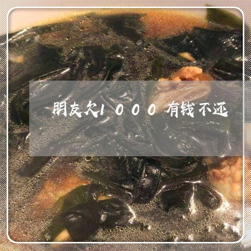 朋友欠1000有钱不还/2023112368480