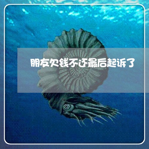 朋友欠钱不还最后起诉了/2023110202624