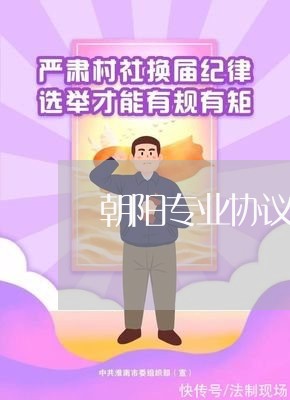 朝阳专业协议离婚律师咨询/2023111473573