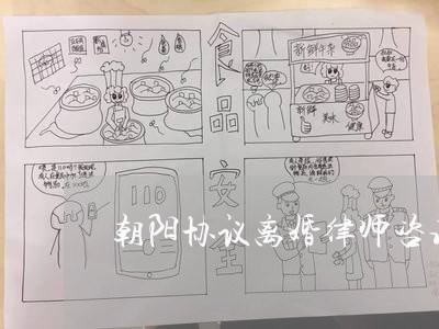 朝阳协议离婚律师咨询热线/2023111405137