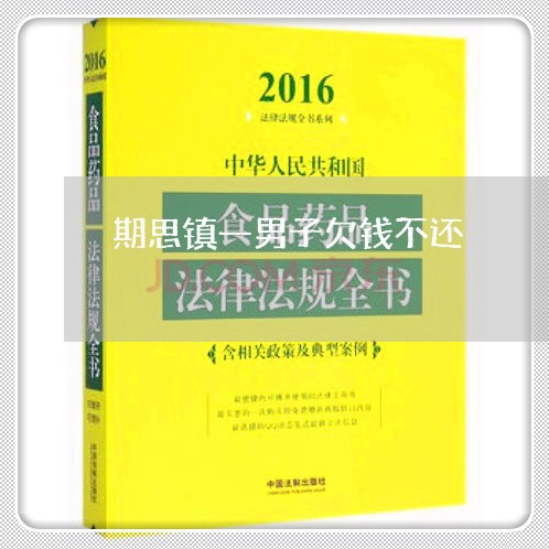 期思镇一男子欠钱不还/2023110940260