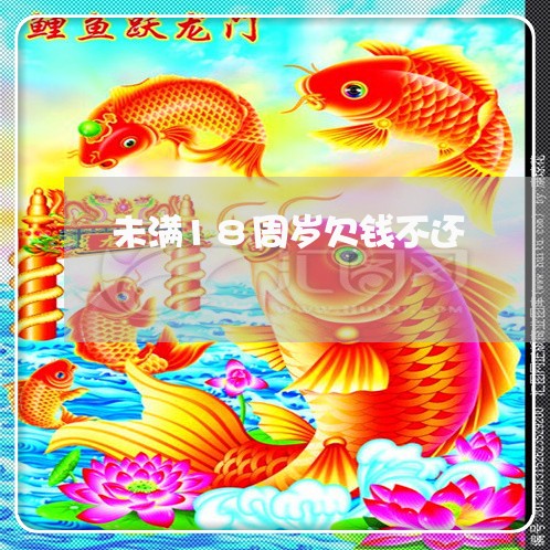 未满18周岁欠钱不还/2023111017351