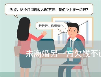 未离婚另一方欠钱不还/2023120951571