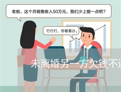 未离婚另一方欠钱不还/2023120971695