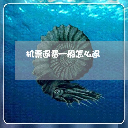 机票退费一般怎么退/2023061405838