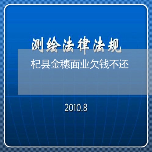 杞县金穗面业欠钱不还/2023112716850