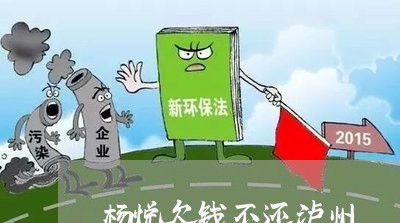 杨悦欠钱不还泸州/2023111417038