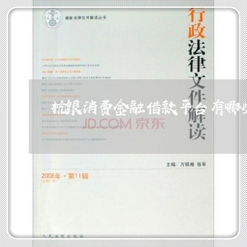 杭银消费金融借款平台有哪些/2023040392605