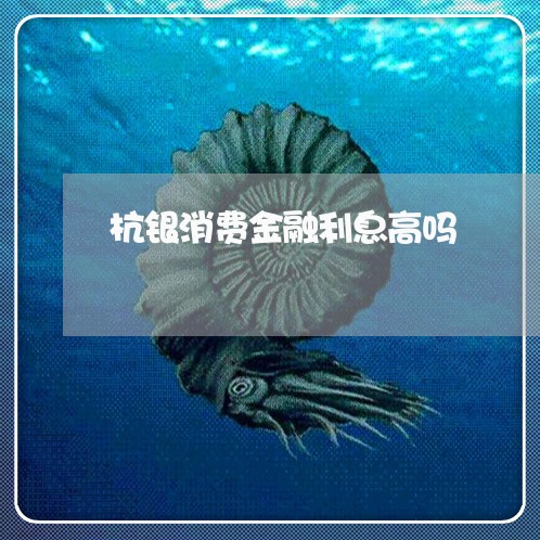 杭银消费金融利息高吗/2023040360685