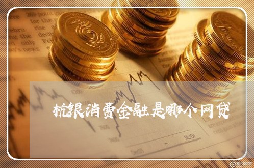 杭银消费金融是哪个网贷/2023040383817