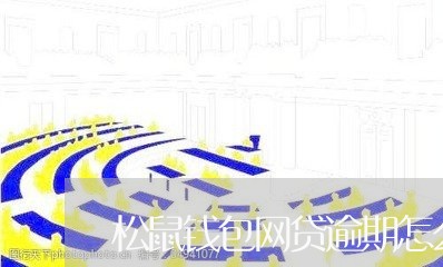 松鼠钱包网贷逾期怎么办/2023110628380