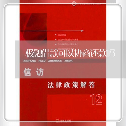 极融借款可以协商还款吗/2023100550493