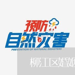 柳江区婚姻登记流程表格/2023112798281