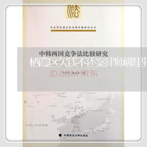 栖霞区欠钱不还案律师哪里找/2023110807260