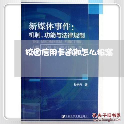 校园信用卡逾期怎么报案/2023112606026