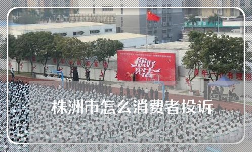 株洲市怎么消费者投诉/2023032300515