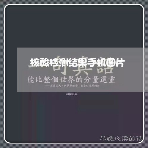 核酸检测结果手机图片/2023031728179