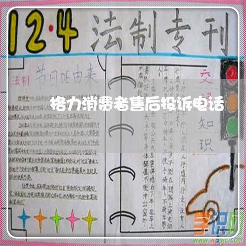 格力消费者售后投诉电话/2023021865747