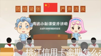 桃江信用卡逾期怎么办的/2023121601707