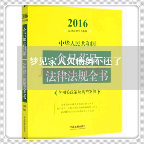 梦见家人欠债务不还了/2023111827248