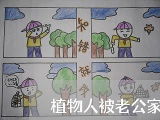 植物人被老公家暴/2023101553604