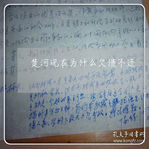 楚河现在为什么欠债不还/2023092210484