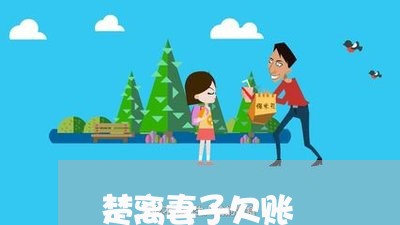 楚离妻子欠账/2023100695735