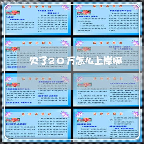 欠了20万怎么上岸啊/2023061716927