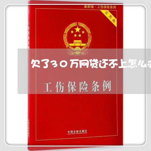 欠了30万网贷还不上怎么办/2023061747360