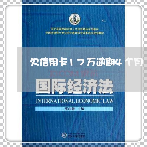 欠信用卡17万逾期4个月/2023071301624