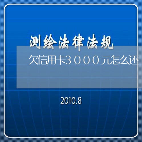 欠信用卡3000元怎么还/2023120536151