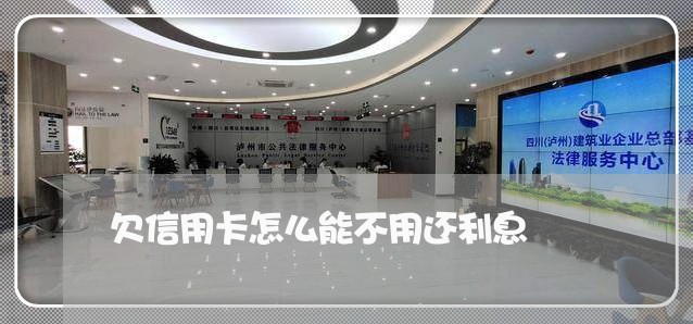 欠信用卡怎么能不用还利息/2023111429491