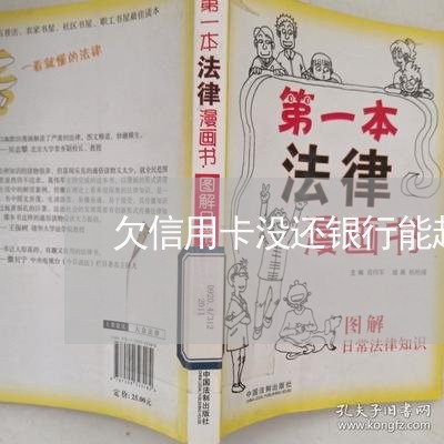 欠信用卡没还银行能起诉吗/2023112417257