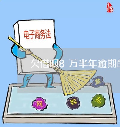 欠借呗8万半年逾期的人怎么样了/2023061962938