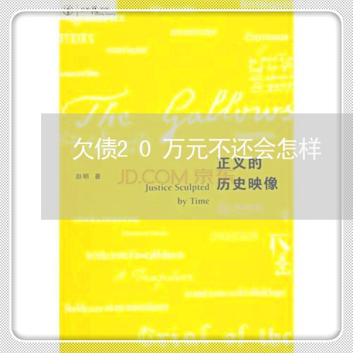 欠债20万元不还会怎样/2023111045061