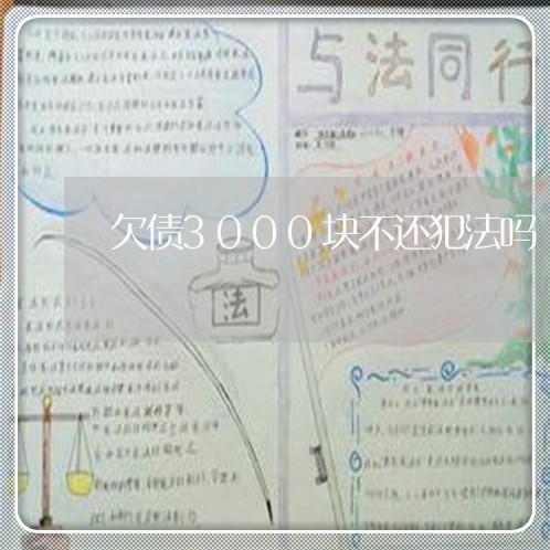 欠债3000块不还犯法吗/2023111770504